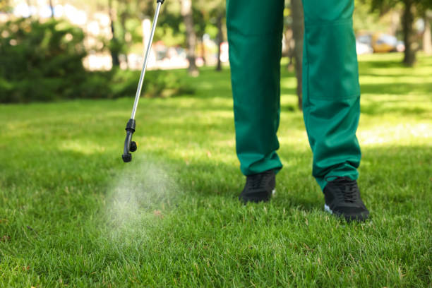 Pest Control Cost in Belford, NJ